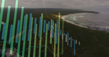 Poster - Animation of colorful data graphs overlaying aerial view of coastal forest landscape