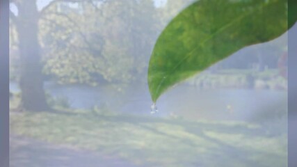 Poster - Leaf in foreground with animation, serene lake and trees in background