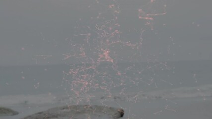 Poster - Pink network of connections animation over ocean waves and rocky shore