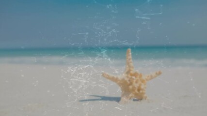 Poster - Starfish on sandy beach with digital network animation overlaying scene