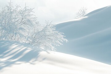 Poster - Serene winter landscape with softly curved snow hills and delicate shadows under a cloudy sky