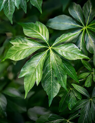 Poster - Lush green leaves with intricate vein patterns create a vibrant natural texture, showcasing the beauty of plant life