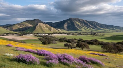 Poster - Sunlight cascades over a meadow adorned with colorful wildflowers in the late afternoon, showcasing rolling hills in the backdrop and a peaceful landscape