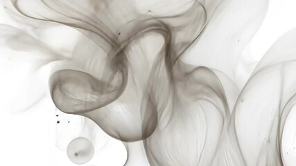 Poster - smoke flow: a graceful dance of smoke in a neutral gray palette, suggesting ethereal movement and dy