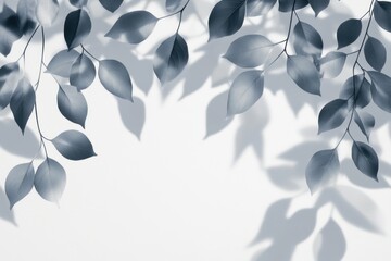 Poster - Delicate gray shadows of leaves create an elegant visual effect, bringing a touch of nature to contemporary design and decor settings