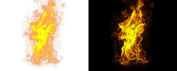 Poster - Dramatic Fire Inferno with Blazing Orange and Yellow Flames Isolated on a Transparent or White Background