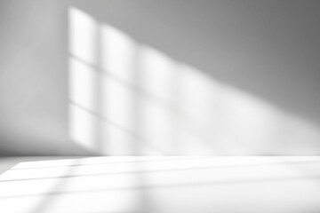 shadow overlay effects of realistic window and tree branch shadow with light blur on transparent bac