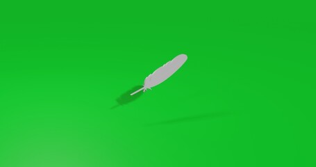 Poster - Isolated realistic white feather symbol front view with shadow. 3d illustration on green chroma key background