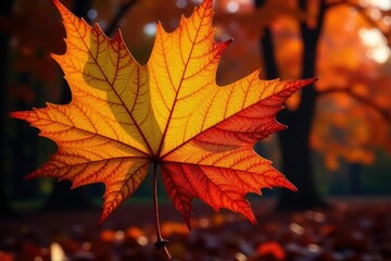 Wall Mural - A late-season autumn leaf pattern showing decaying detail , wallpaper, design