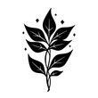 © MatandSterre - Black & White Leafy Stem Illustration with Star Elements, Minimalist Design