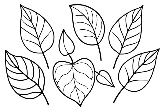 Ficus Leaf Line Art Elegant Sketch for Modern Botanical Design 