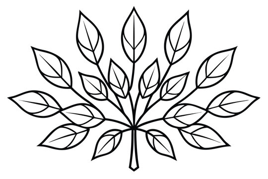 Euphorbia Leaf Line Art Simple Drawing for Artistic Illustration Creation 