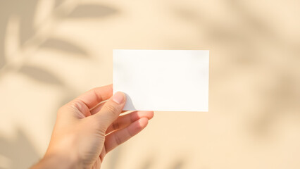 Poster - Hand Holding Blank Card with Soft Natural Shadows and Warm Background for Minimalist Design and Marketing Needs