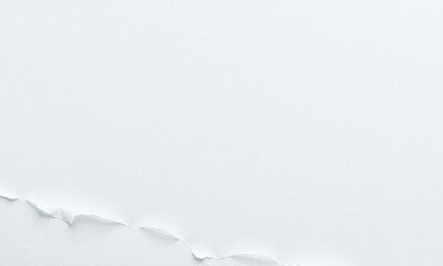 Poster - close up view of white paper background with torn edge, creating subtle texture and depth. This evokes sense of simplicity and minimalism