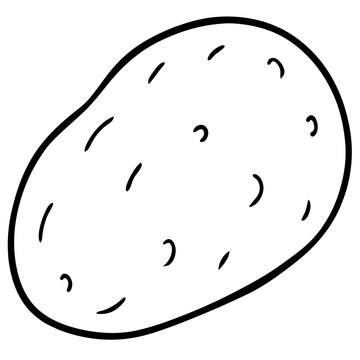 Stylized Potato Graphic Vector Design
