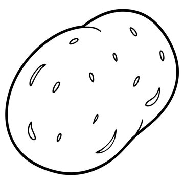 Stylized Potato Graphic Vector Design