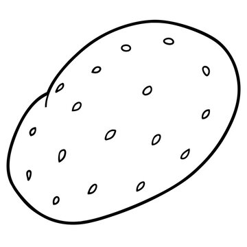 Stylized Potato Graphic Vector Design