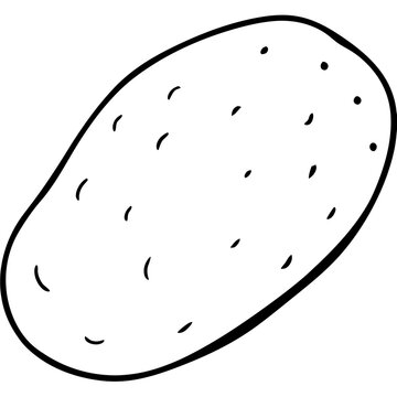 Stylized Potato Graphic Vector Design
