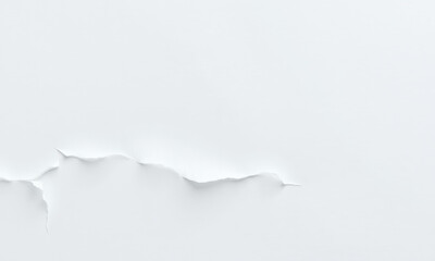 Poster - textured white paper background with subtle tear, creating interesting visual element. soft tones evoke sense of calm and simplicity, perfect for various design projects