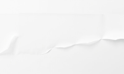 Poster - torn white paper background creates clean and minimalistic aesthetic, perfect for various design projects and presentations. subtle texture adds depth while maintaining simplicity