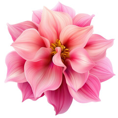 Poster - Beautiful pink flower blooming vibrantly against a soft background creating a serene and lovely natural scene isolated on transparent background..