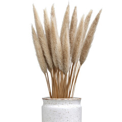 Poster - Elegant decorative vase filled with dried grass creating a natural touch in modern minimalist home decor isolated on transparent background..