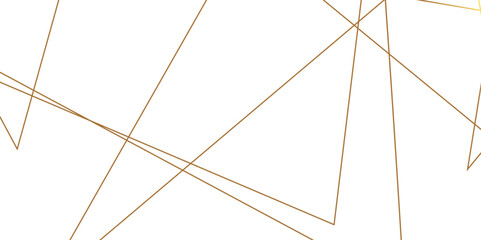 Poster - vector abstract gold line luxury background, luxury premium golden random chaotic lines on transpare