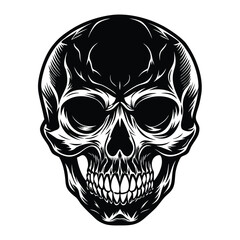 human skull vector