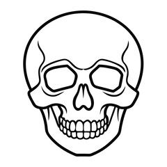 human skull vector