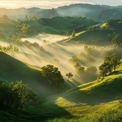 Poster - Golden Morning Light: Mist-Kissed Hills Embrace the Dawn in Verdant Glory, Casting a Dreamlike Spell Upon the Landscape