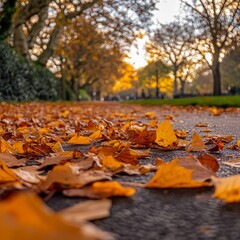 Aufkleber - Golden Path: A Low-Angle View of Autumn Leaves Covering a Road in a Park on a Bright, Sunny Day