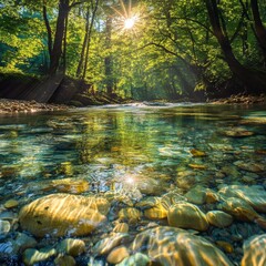 Aufkleber - Sun-Kissed Stream: Tranquil Forest Scene with Crystal Clear Water Reflecting the Lush Canopy and Sunlight