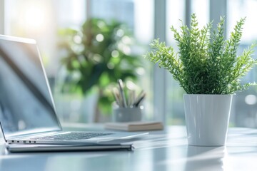 Fototapete - Laptop displaying code in a modern office environment during daylight hours with plants in the background for a productive atmosphere