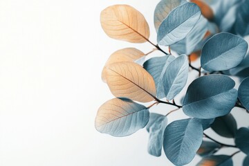 Poster - Delicate white leaf arrangement on a light background showcasing intricate details and soft shadows during natural light
