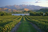 Serene Orchard Landscape in the Sunset Glow, Majestic Mountains in the Background