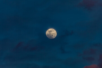 moon in the night