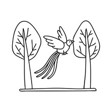 Illustration of a quetzal bird swinging by its long tail feathers between trees
