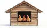 Three hens inside wooden coop, white background; farm animals, poultry