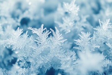 Leinwandbilder - Macro shot of frozen ice crystals showcasing delicate patterns in soft blue-white gradient during winter season