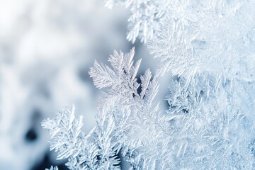 Leinwandbilder - Captivating macro shot of frozen ice crystals showcasing intricate patterns and a soft blue-white gradient in a winter wonderland