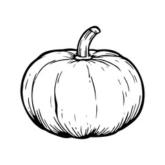 Poster - A simple hand drawn illustration of a pumpkin in black and white vector format, isolated.