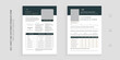 © rafihstude - Luxury product sell sheet and customer questionnaire feedback form template set