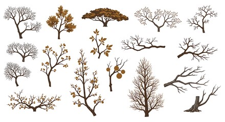 Autumnal Tree Branches: A Collection of Digital Illustrations AI Generated