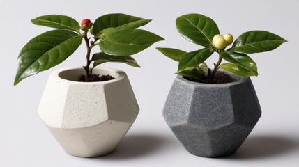Poster - Two small plants in geometric speckled pots, one off white, one dark gray, on a light gray background.