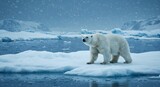 A polar bear standing on an ice floe. The environment is showing signs of arctic warming and melting ice during a snowstorm.