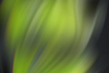 Poster - A blurry close up of green leaves and foliage creating an abstract natural pattern of light and shadow