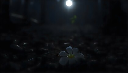 Wall Mural - white flower sitting in the middle of a forest