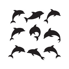  set of dolphins