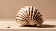 © ZOHAIB - Elegant Seashell on a Beige Background with Shadow, Ideal for Artistic Displays