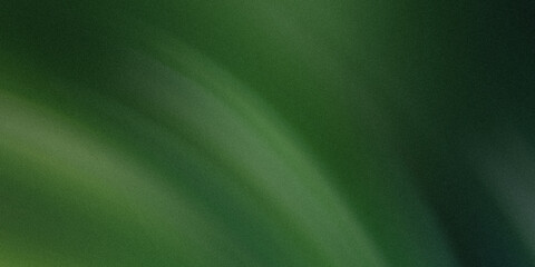 Poster - An abstract close up image showing blurry shades of dark green and light green with soft lighting